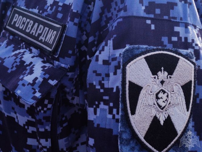 В Ставрополе росгвардейцы пресекли попытку кражи