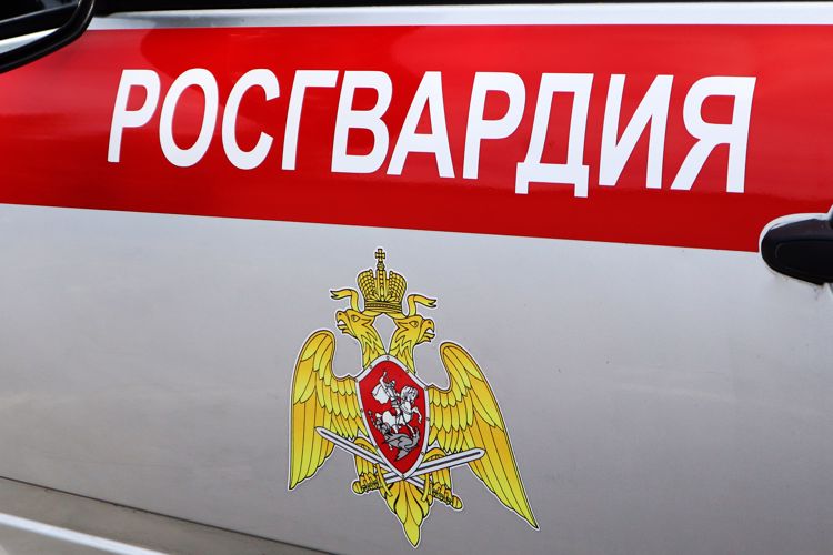   На Ставрополье росгвардейцы пресекли факт вождения в нетрезвом состоянии