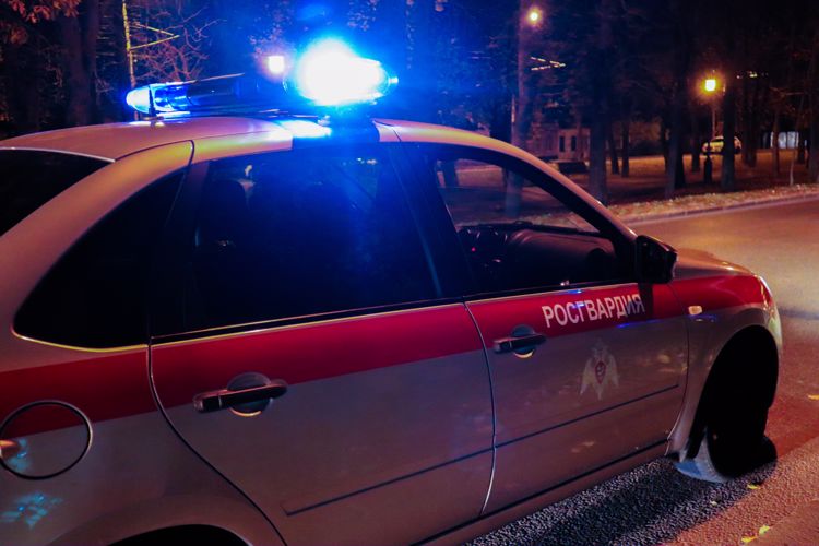На Ставрополье сотрудники Росгвардии приняли участие в обеспечении правопорядка в новогоднюю ночь