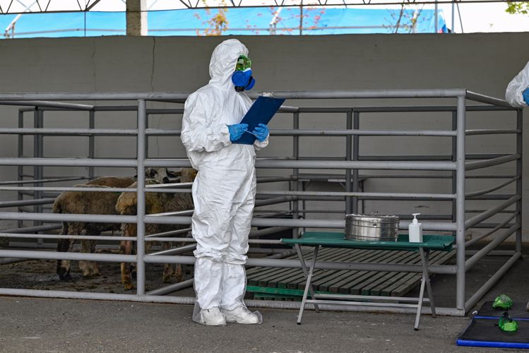 На Ставрополье представители Росгвардии приняли участие в межрегиональных ветеринарно-санитарных учениях