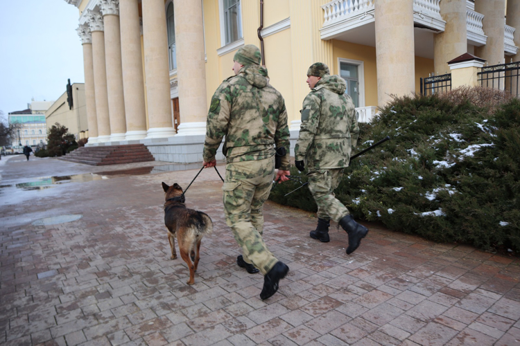 РОСГВАРДЕЙЦЫ ОБЕСПЕЧИЛИ БЕЗОПАСНОСТЬ ОТКРЫТИЯ ГЛАВНОЙ ГОРОДСКОЙ ЕЛКИ В СТАВРОПОЛЕ