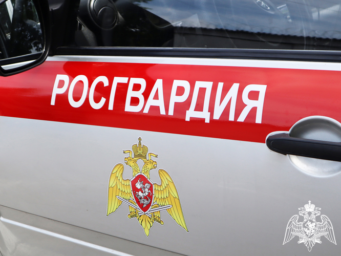 На Ставрополье росгвардейцы оказали помощь пострадавшей в ДТП женщине