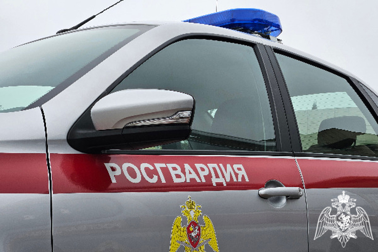 На Ставрополье росгвардейцы  предотвратили кражу в крупном торговом комплексе