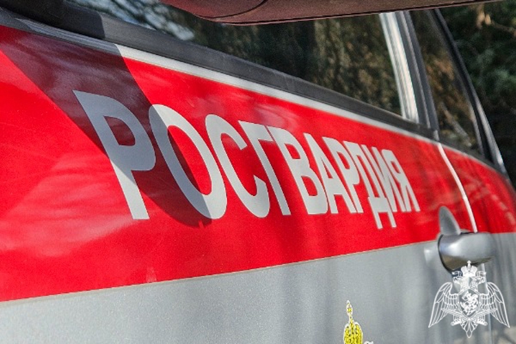 В Невинномысске росгвардейцы пресекли хулиганские действия