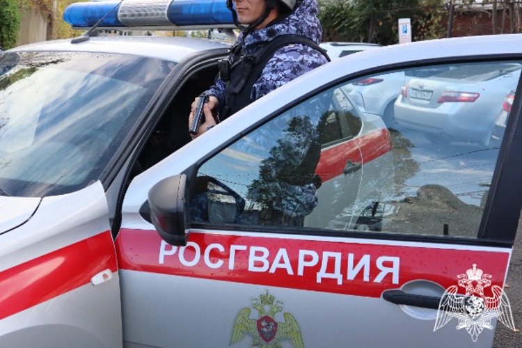 В Невинномысске росгвардейцы пресекли драку  с участием нескольких человек