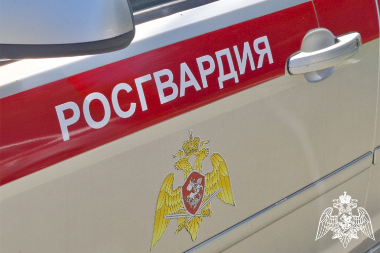 В Пятигорске сотрудники вневедомственной охраны пресекли драку в зоне отдыха  