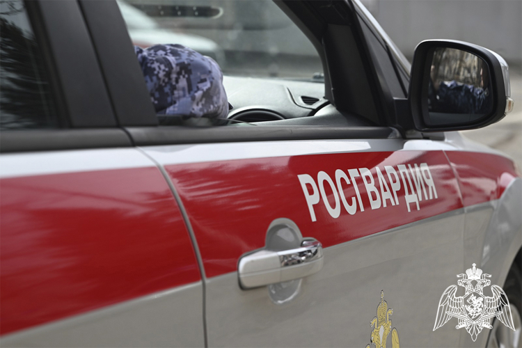 Росгвардейцы на Ставрополье задержали гражданина, находившегося в федеральном розыске