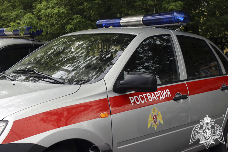 На Ставрополье росгвардейцы пресекли массовую драку