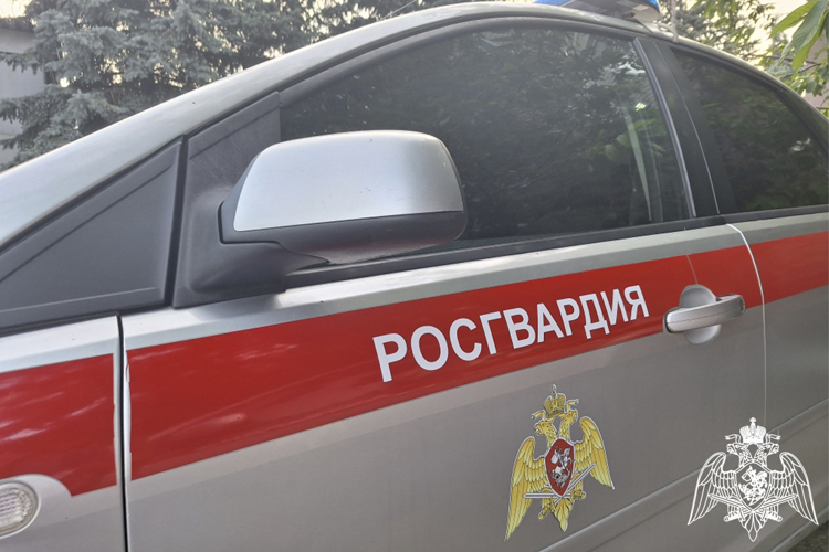 В Новопавловске росгвардейцы предотвратили распространение возгорания в охраняемом домовладении